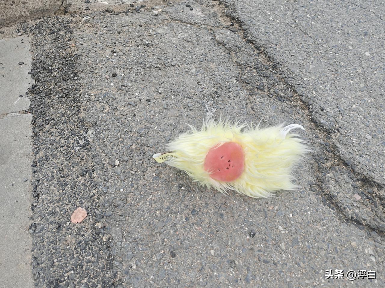 79块钱就这么明晃晃地扔在地上？
有人需要吗？

快去捡，二手平台都是二百多。