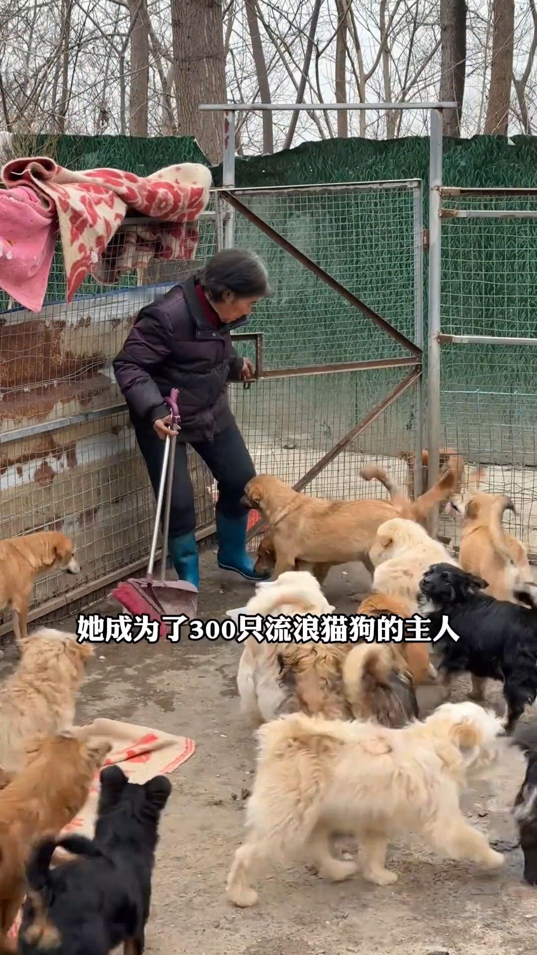 82岁老师写高考作文引关注82岁退休语文老师的人生遗嘱一名退休数十年的语文老师写