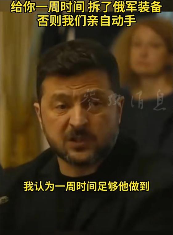 这才是一步大棋！泽连斯基对白俄下通牒，根本不是冲装备去的，战火一开，北约都得被拖