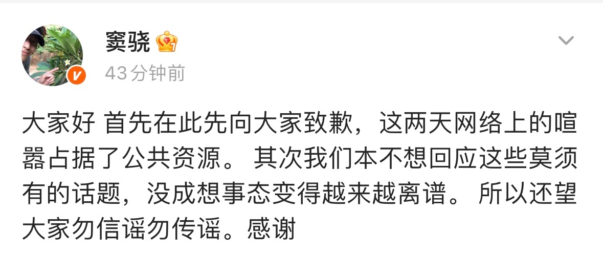窦骁发文回应何超莲 我们感情稳定 窦骁通过微博回应与何超莲离婚等传闻，称希望大家
