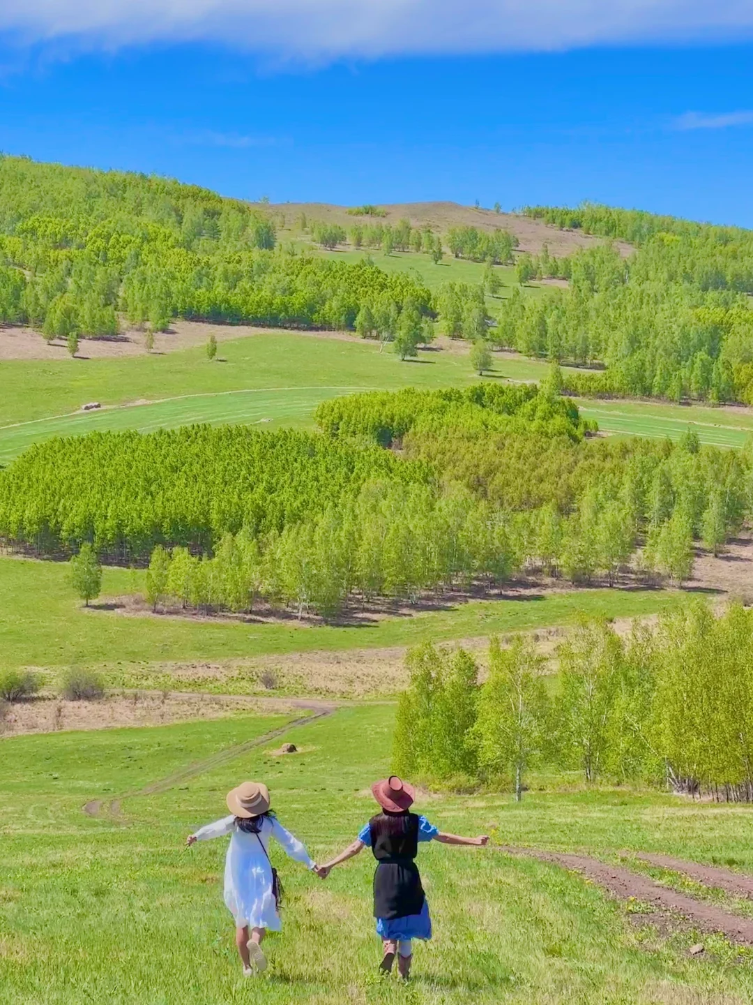Live图｜呼伦贝尔真的好好玩！骑马、驯鹿、喂羊