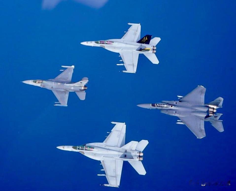 美国空军的F15、海军的FA-18E/F战机同框。
请注意，从FA18E/F开始