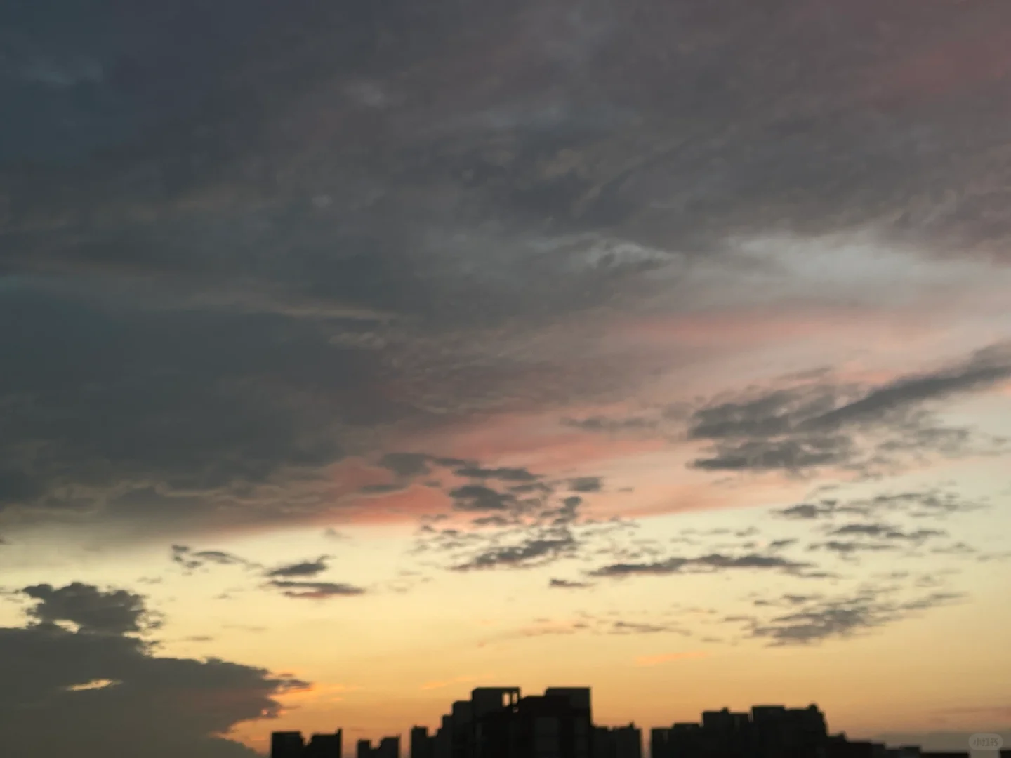 认识了一位在逆境中重生的阿姨。