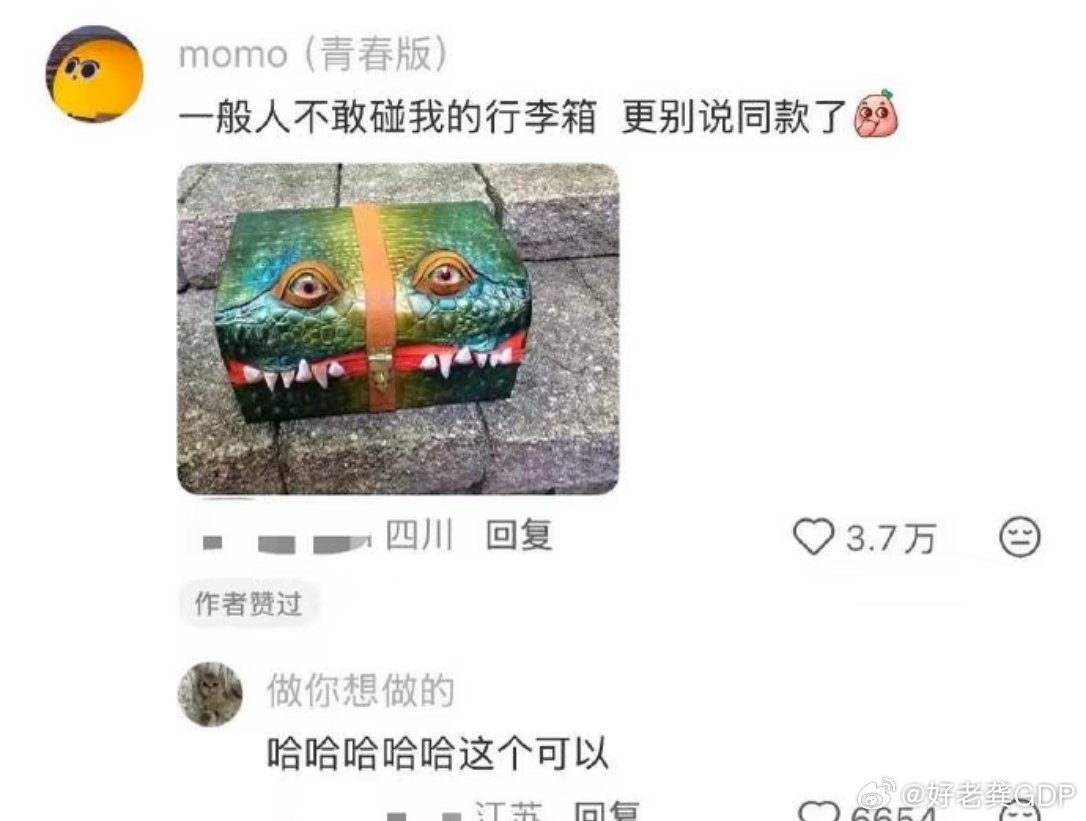 建议大家买行李箱不要太大众这真的是朴素的大智慧出行选行李箱，很多人贪图爆款颜值，