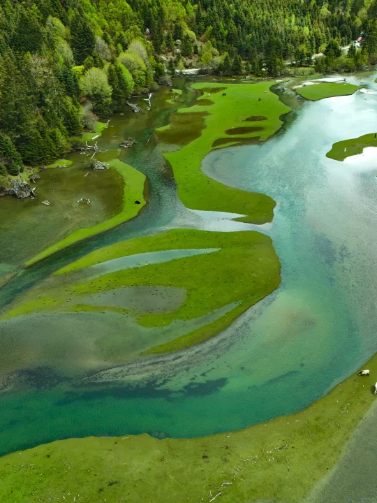 被《国家地理》评为中国最美的地方有多绝！