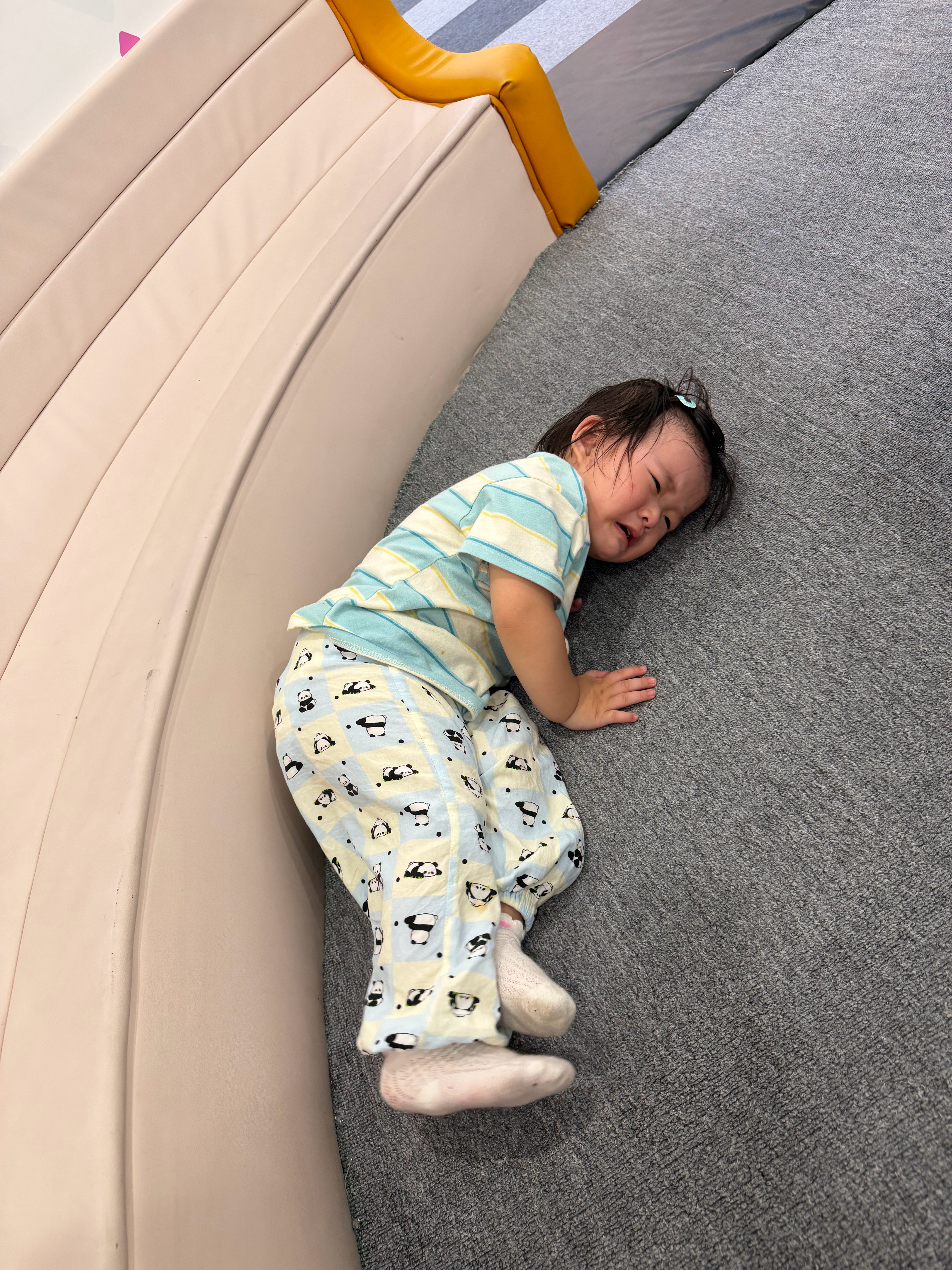 枣一生气就趴地上默默流泪 有种管我也行 不管我也无所谓的平静感 我咔嚓咔嚓换角度