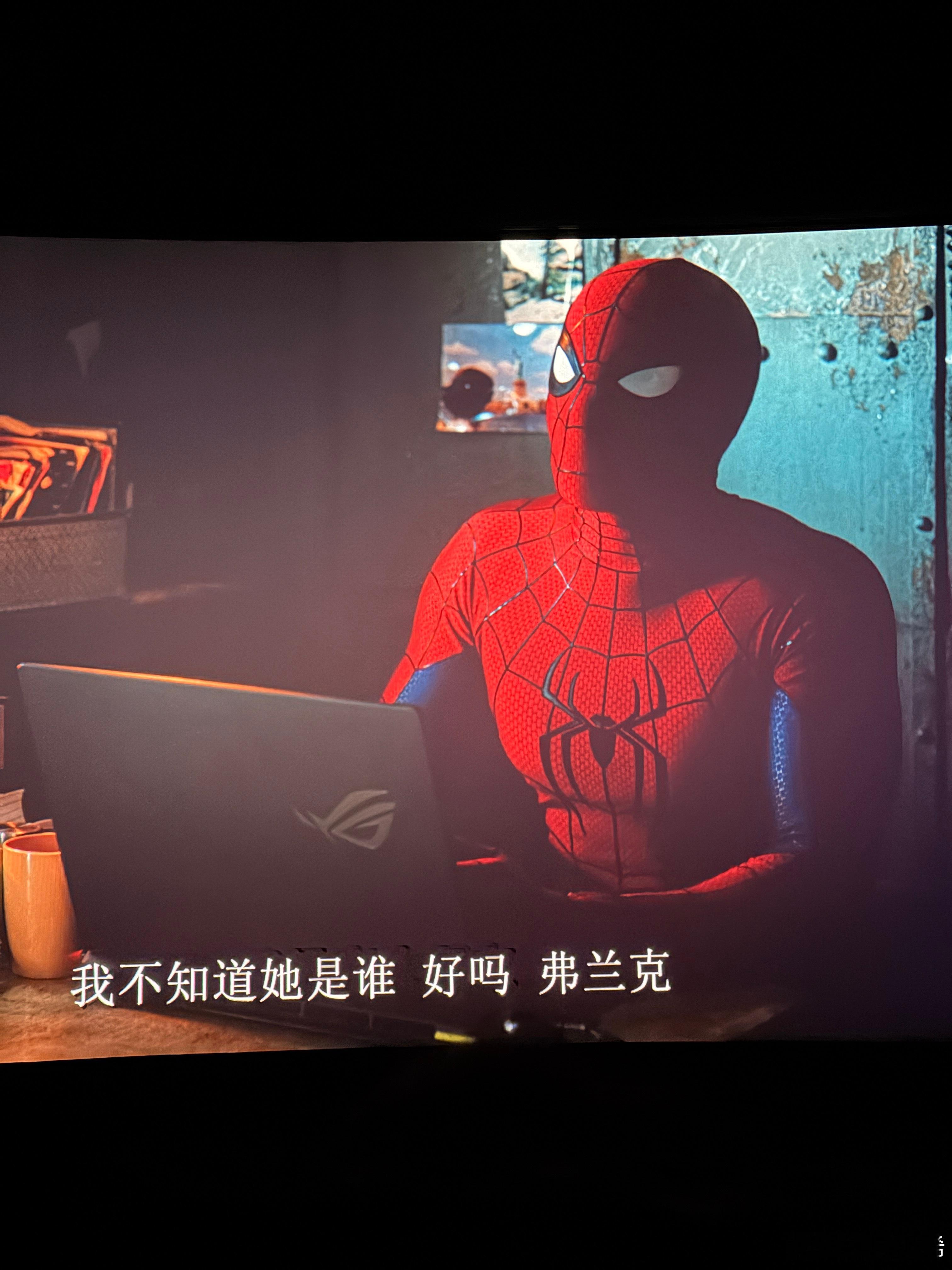 好看蜘蛛侠 文戏刻画的很细腻 打戏也很爽 
