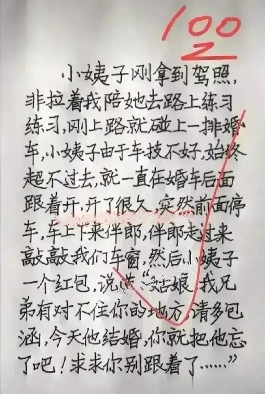 小姨子车技太菜了，上路开车本来会闹出很多笑话，结局却出人意料，她居然收到了迎亲车