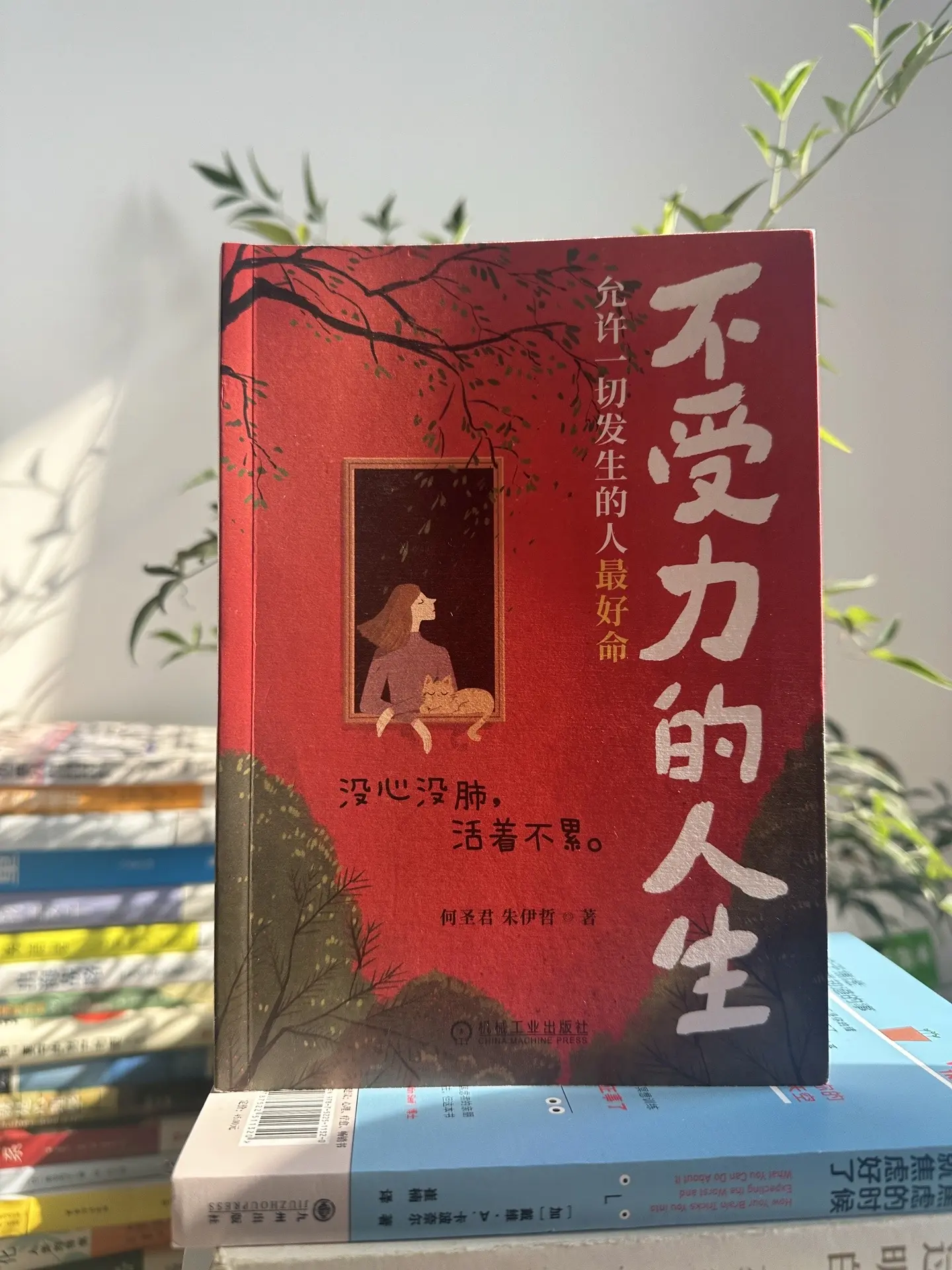 允许一切发生的人， 最好命！