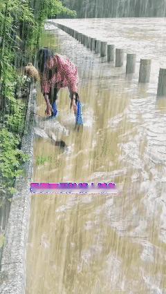 水面微澜泛着光，
心也跟着慢下来[泣不成声]