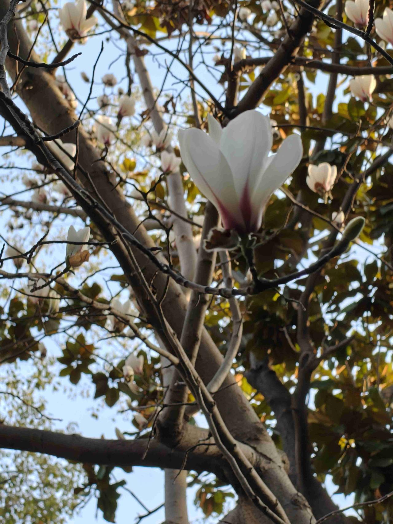 我的今日状态：💰期待暴富
我这里的天气：🌤️多云