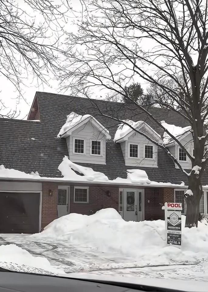 50岁还在啃娃？
罗兰多住3000万豪宅却写儿子名字，每月5万零花钱断了，转头直