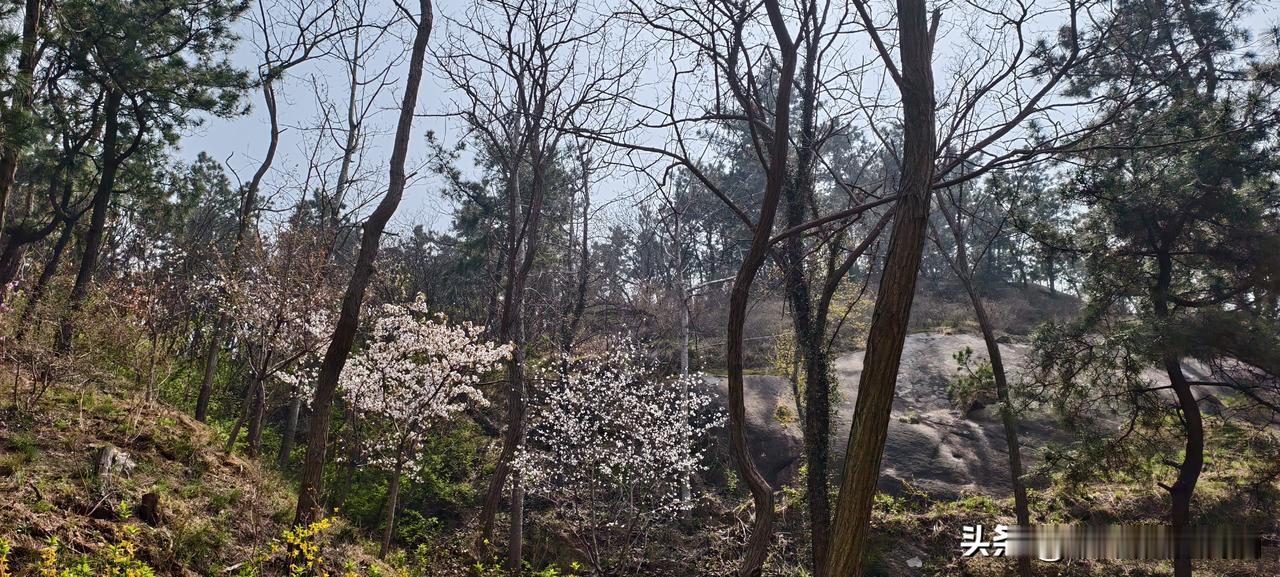 老板把我叫进办公室，关门递了部手机。说了一句话，我后背发凉
我前同事小周，上周被