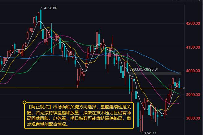 【8月13日收评：市场面临关键方向选择 量能延续性是关键 若无法持续温温和放量 