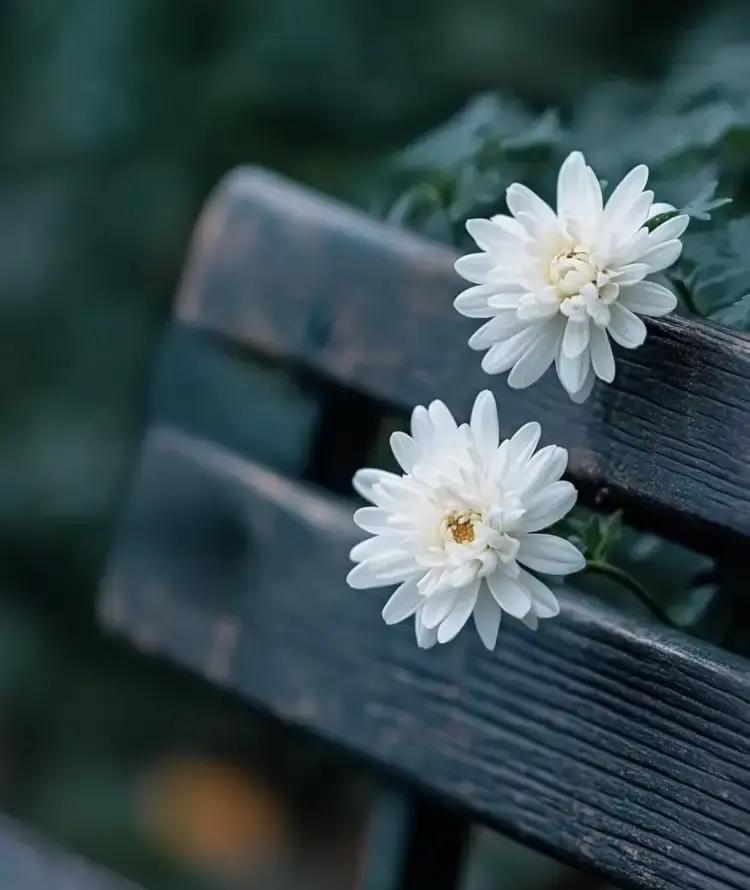 靓女把弟弟告了，就为父亲丧事剩下的几百块帛金。
弟弟操办白事，垫钱收礼，账没公开