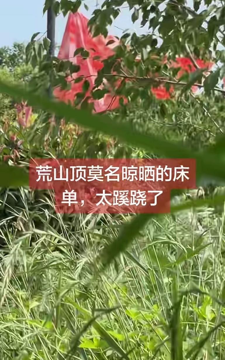 网友拍到荒山顶，
莫名其妙有人晒红色床单，
太蹊跷了！
都在山洞里，大山都被他们