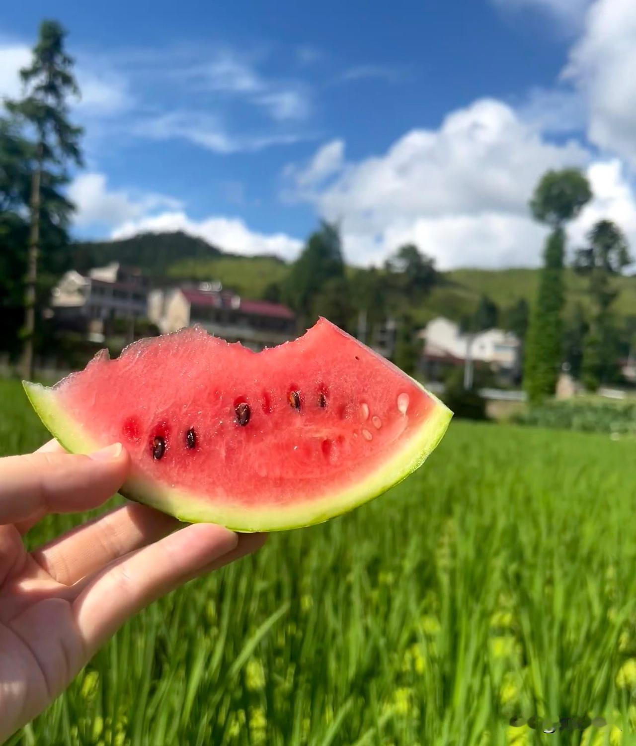 老了以后，不要做的“糊涂事”：

1. 不买房子，没房就租。
   ​
2. 父