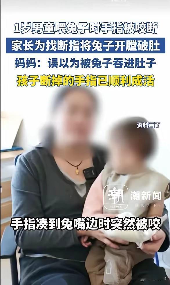 悲剧还是发生了！1岁男童喂兔子时手指被咬断，家长为找断指将兔子开膛破肚，妈妈：误
