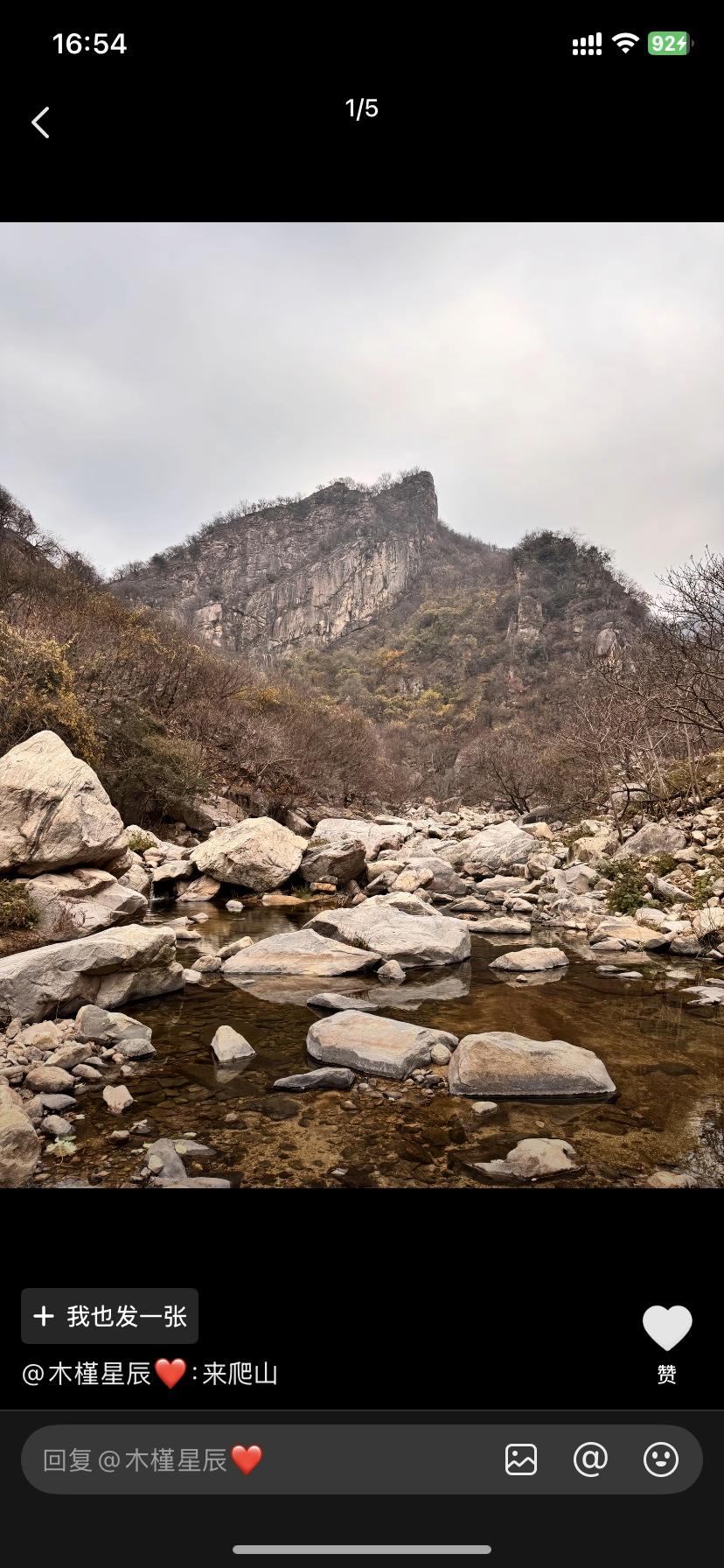 选一个晴好的日子，一头扎进山野的怀抱。虽然已经是冬季，但阳光透过枝叶洒下斑驳光影