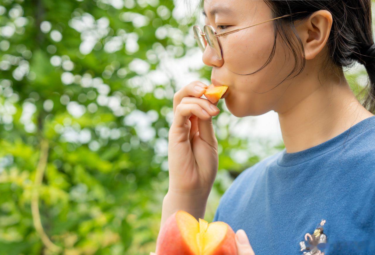 宁波海曙龙观黄桃迎来最佳采摘期 6月11日消息，初夏时节宁波海曙区龙观乡某农场的