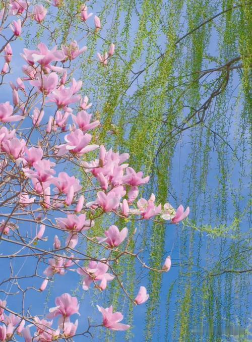 上联：春风已带花飞去，
下联：秋雨欲挽叶落迟，
下联：冬雪初融溪水动。