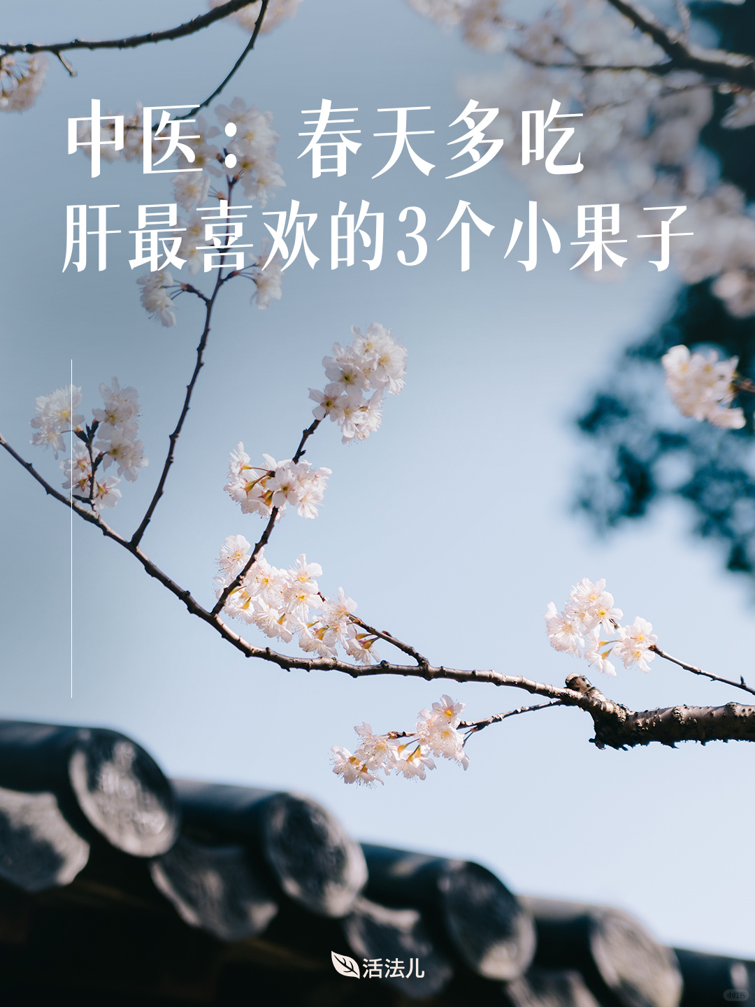 中医：春天多吃月干最喜欢的三个小果子！