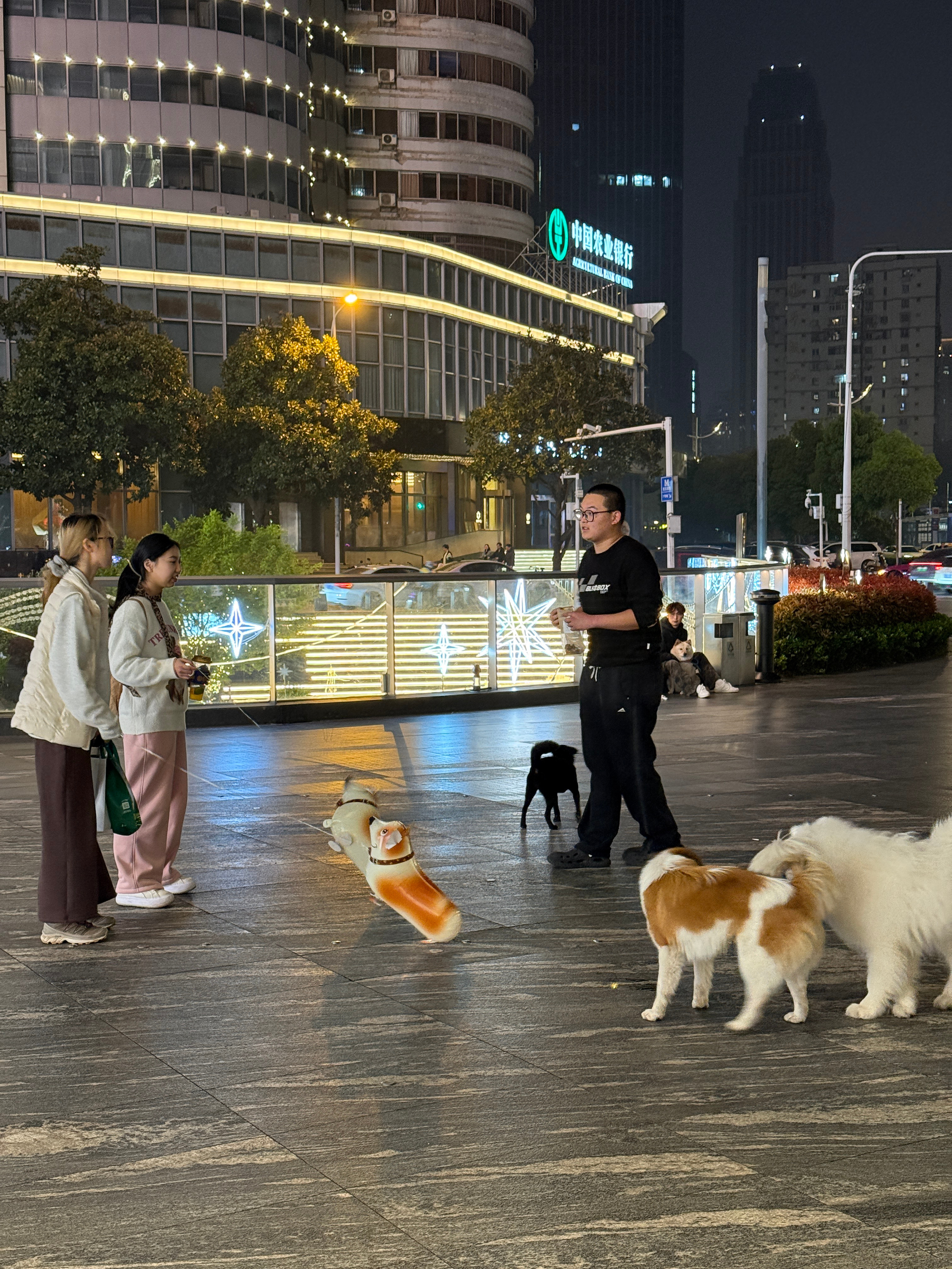 没有狗可以遛，那就遛狗气球啦