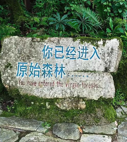 离谱！一生爱凑热闹的中国人！云南哀牢山曾被誉为“现实版云南虫谷”，因其充满神秘和