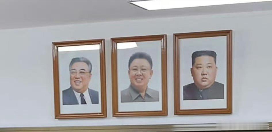#朝韩关系为何一下变天##韩国总统尹锡悦不支持率超过70%#小金子挺有“血统”，