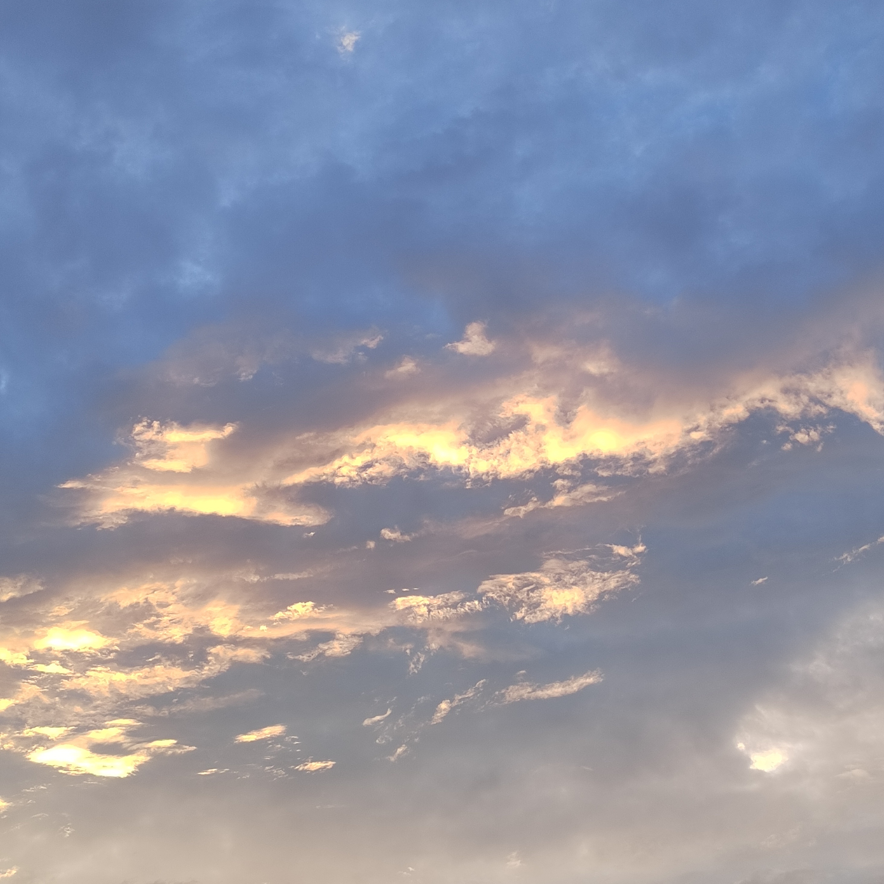 WeChat｜背景图分享｜自由开阔 