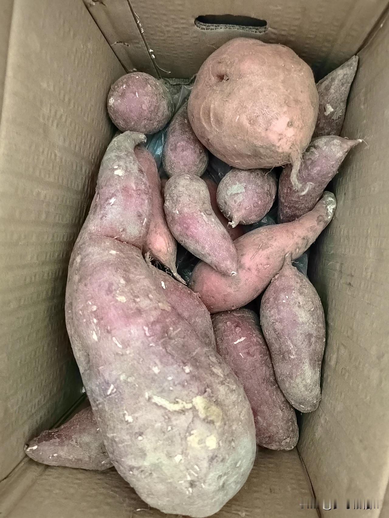 红薯，你们那里都叫做什么理论上我们管白瓤的叫白薯，红瓤的叫红薯，但现在实际当中一