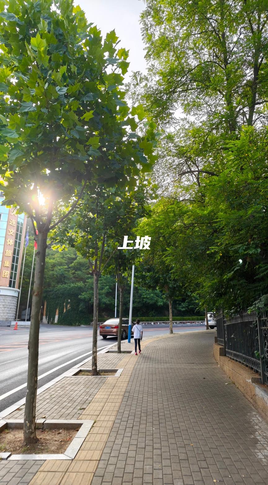 暑假第11天，晨练第7天！大金牙]
徒步速度越来越快了，第一天走得也挺快，38分
