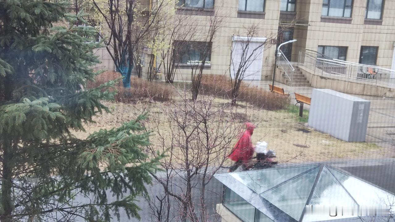 今天天气很冷，雾茫茫雨涔涔，在小区内居住有一个翁媪早上起的很早。推着小车步履蹒跚