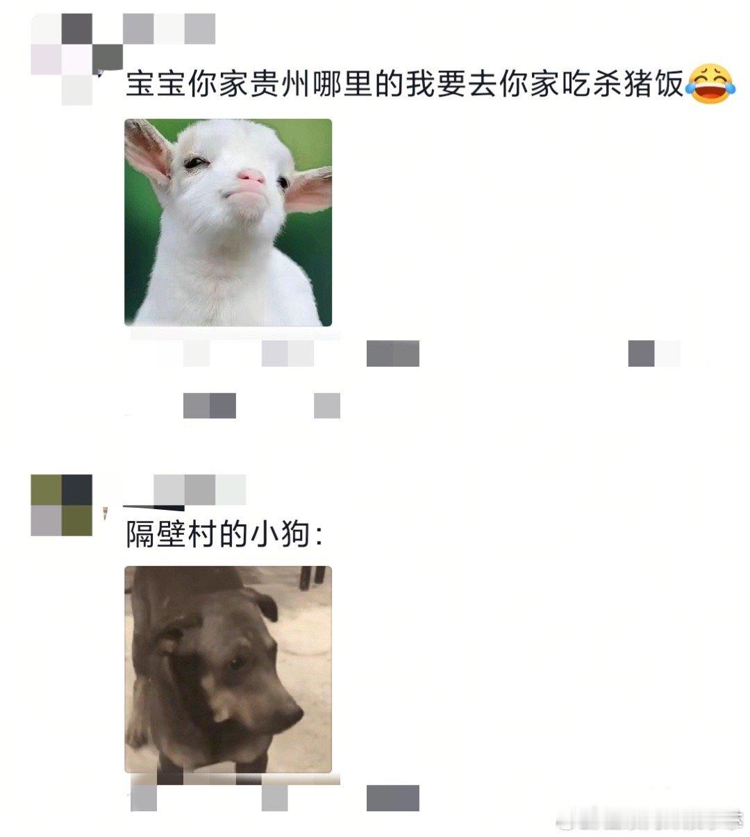 黄霄雲大山里的A5高音 oi！是黄霄雲，我们有救啦！ 老家开口飙出A5高音，实力