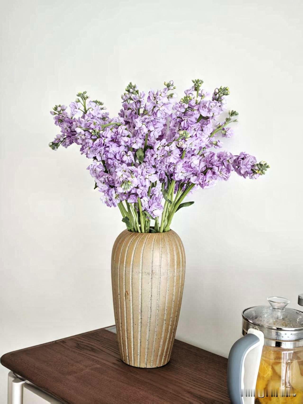 健康是你能给
自己的最高礼赞！
养生不必大刀阔斧，微小而持续的调整，往往能带来最