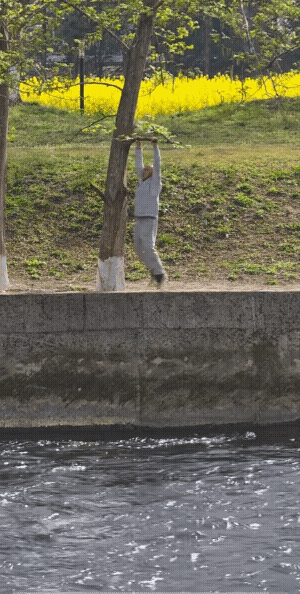 你可能想到了结局，不过，你想的结局不对。
若是树枝折了，肯定是要掉到河里去的。