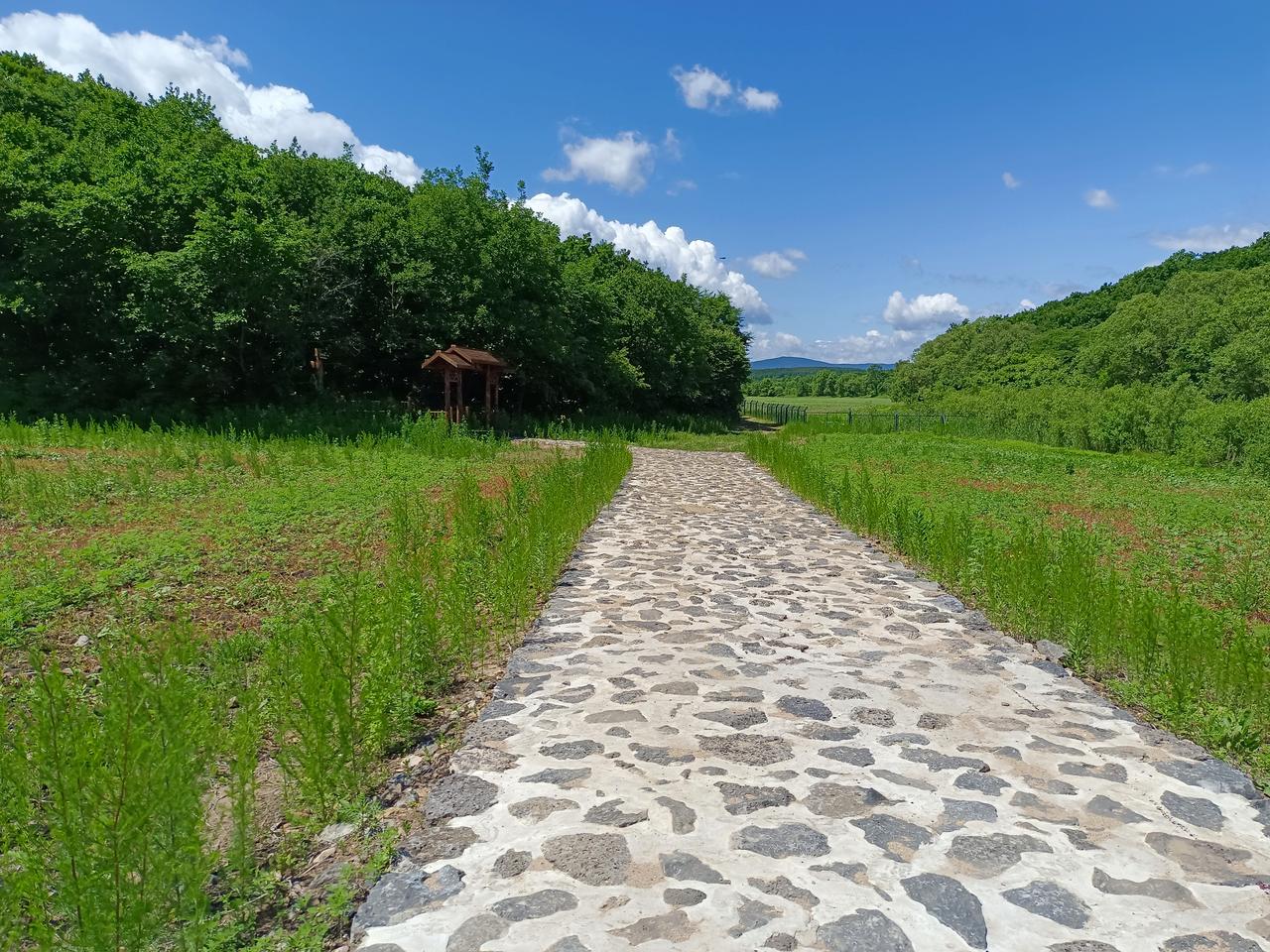 如果佳木斯成为一线城市，那么东三省将发生什么变化？

国家要振兴东北经济，很多人