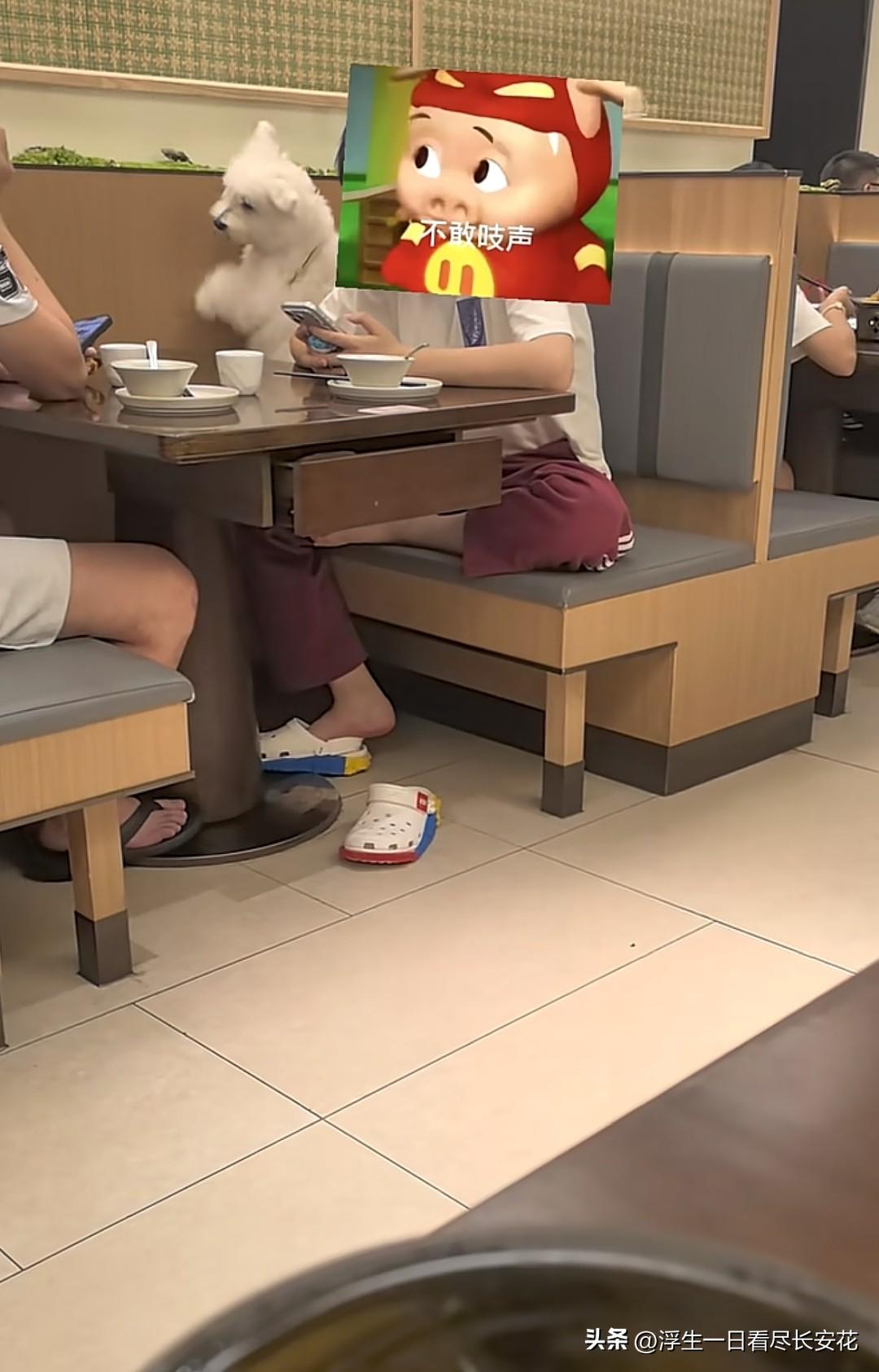最近，有浙江的网友曝光了外婆家(滨江龙湖天街店)狗不仅进店，还上桌，连狗主人都拖