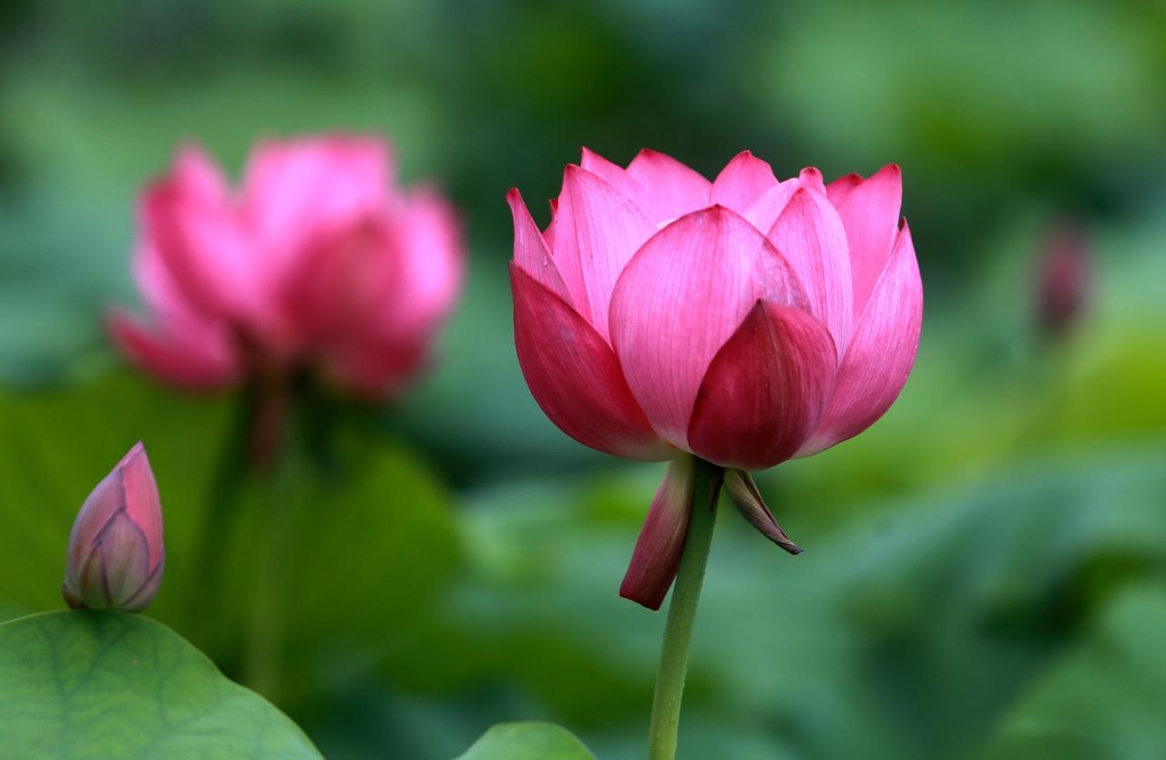 你总要多走几次才知道，哪双鞋最合脚，你总要多试几双才选择，无论有多困难，都坚强地