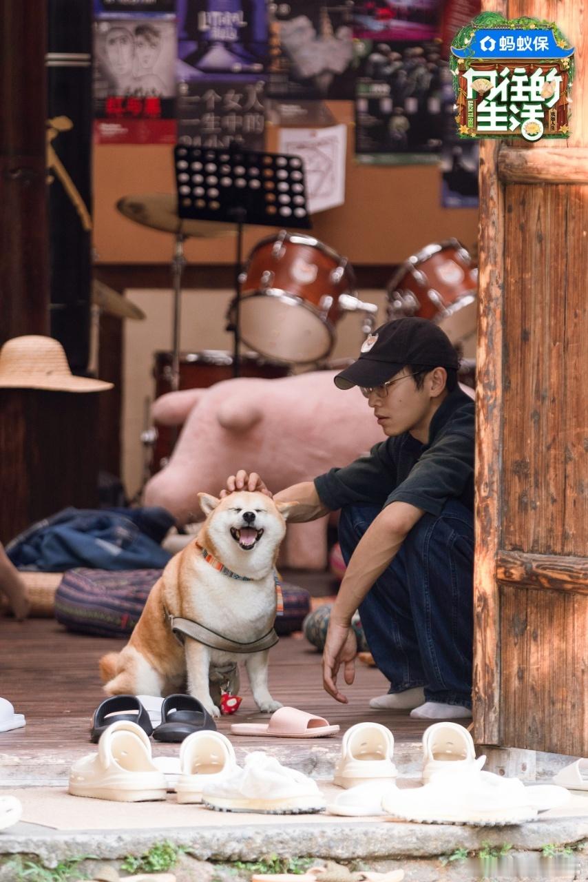 黄磊何炅彭昱畅又唱起油菜花向往的生活向往的生活戏如人生 跟朋友聊《向往的生活》，