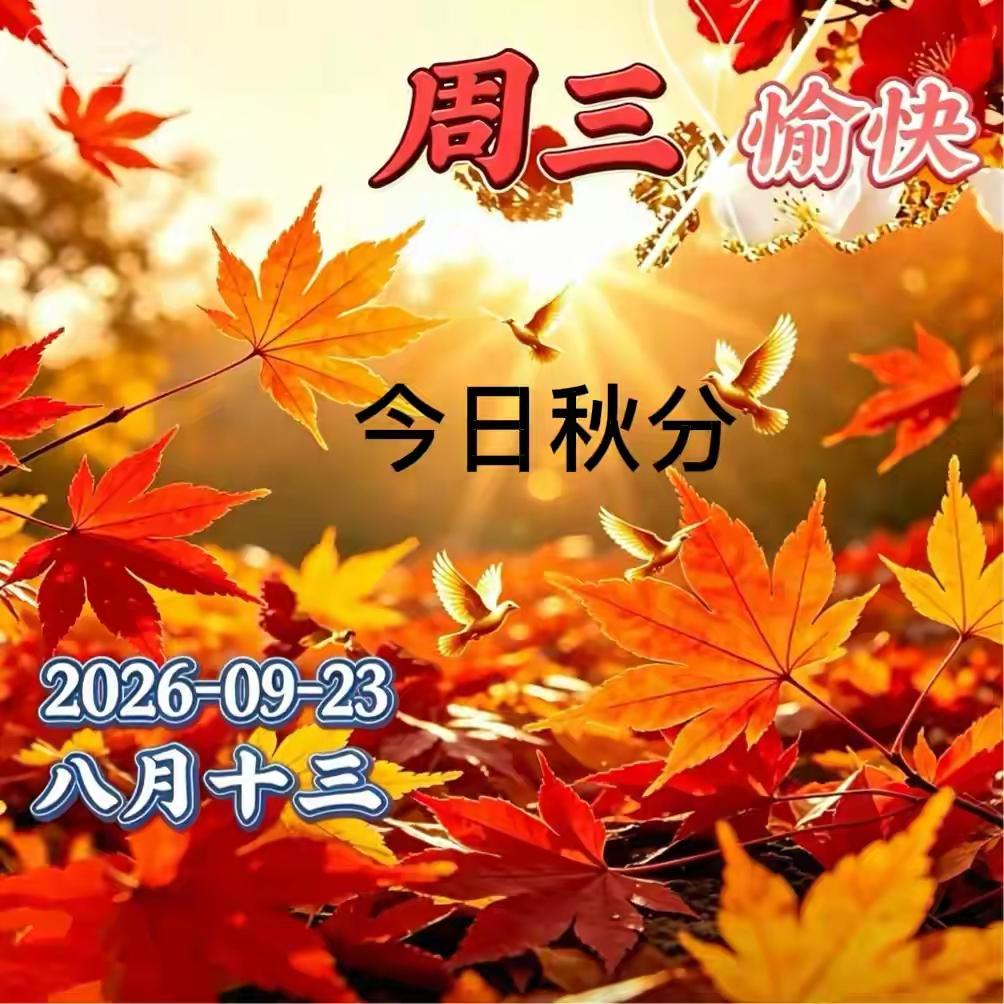 周三秋分，落叶覆满暖阳，飞鸟衔来诗意，愿你在这个柔暖日子里，收获满溢的好心情！