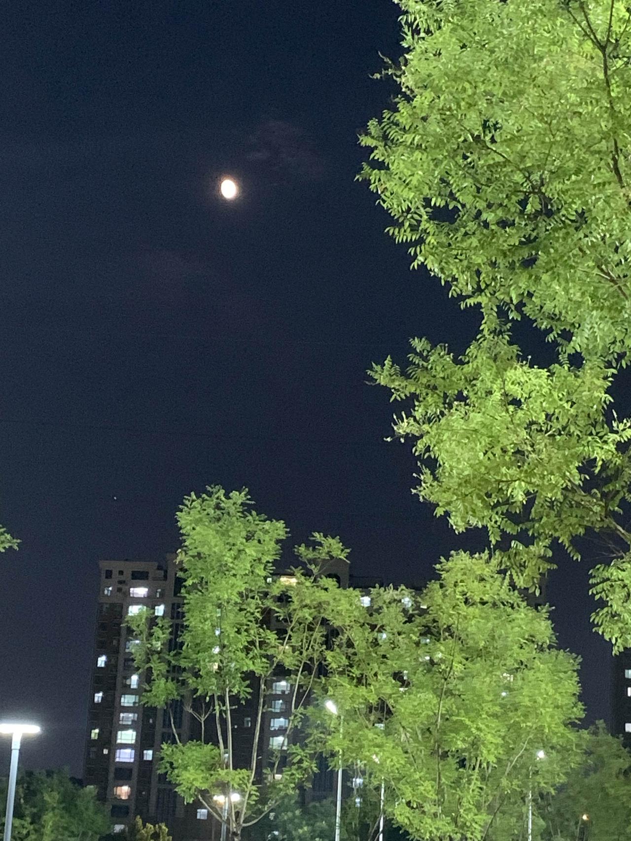 晒晒我随手拍
这是我拍的“北海码头”公园的夜景。高温酷暑天气，公园里依然热闹非凡