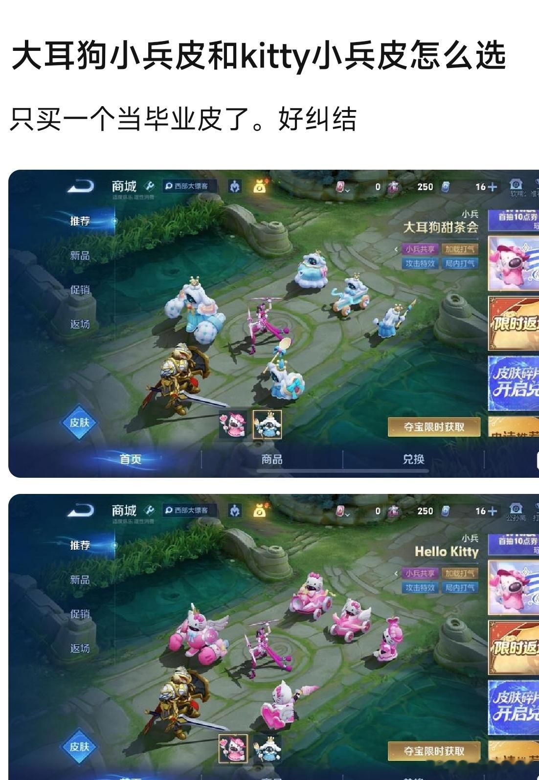 这俩皮肤选哪个？王者荣耀