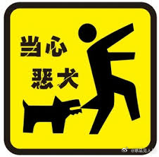 挡不住狗闹，不挂👗了，想回家的可以私信！ ​​​