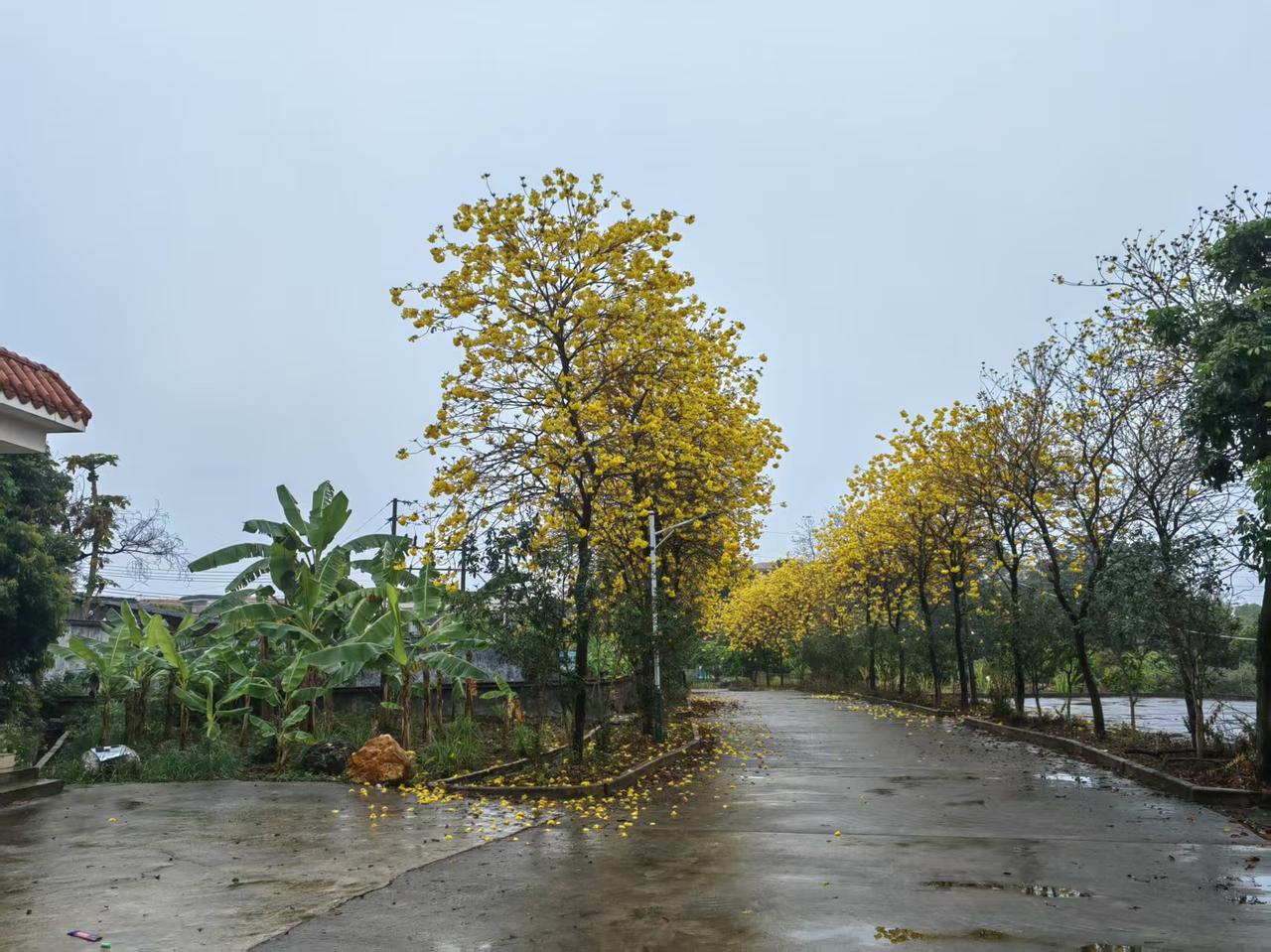 人生如画,能否落笔无悔? 人生如画，就像水墨画，墨一着纸便成定局，没法轻易更改。