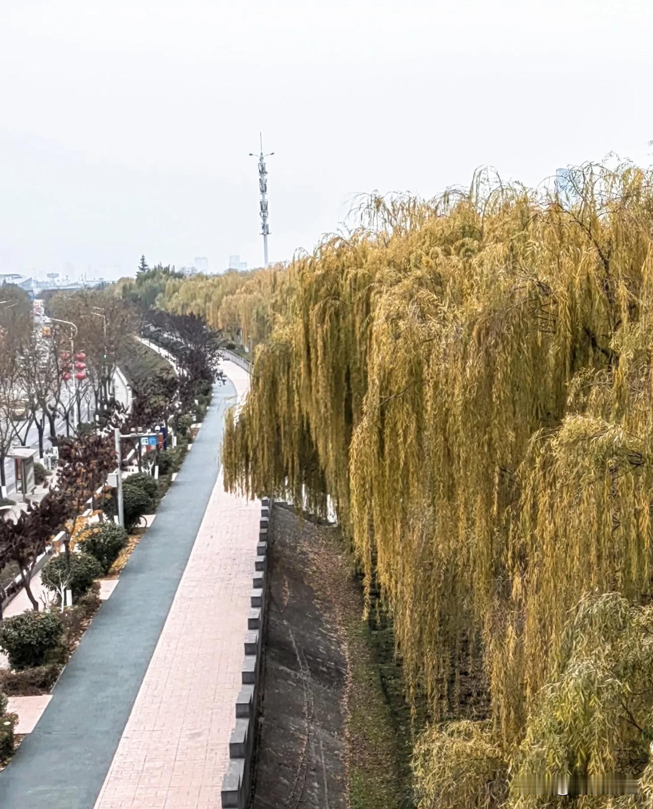 宝鸡渭河高新生态公园冬日景色！
宝鸡风情 宝鸡新晋打卡地 小城宝鸡 看看你拍的宝