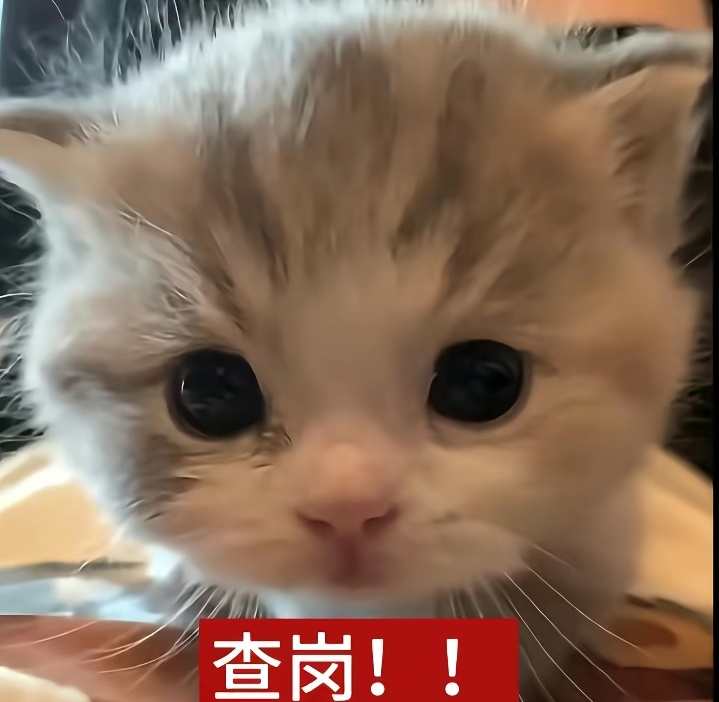 你们在干嘛 