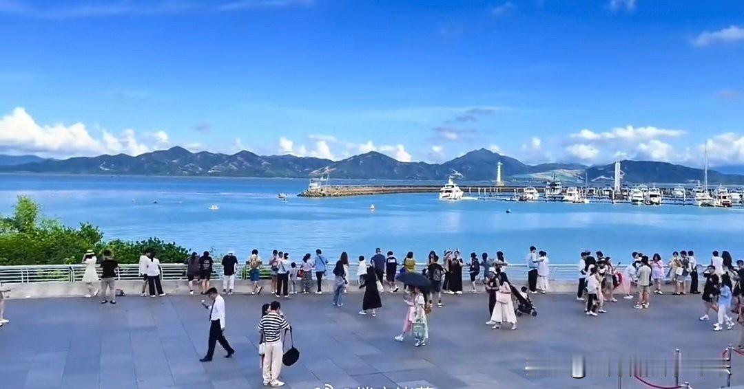 一网友对深圳的评价：有山有海，平时公园里到处都是休闲的，搭帐篷的，海边也很多骑单