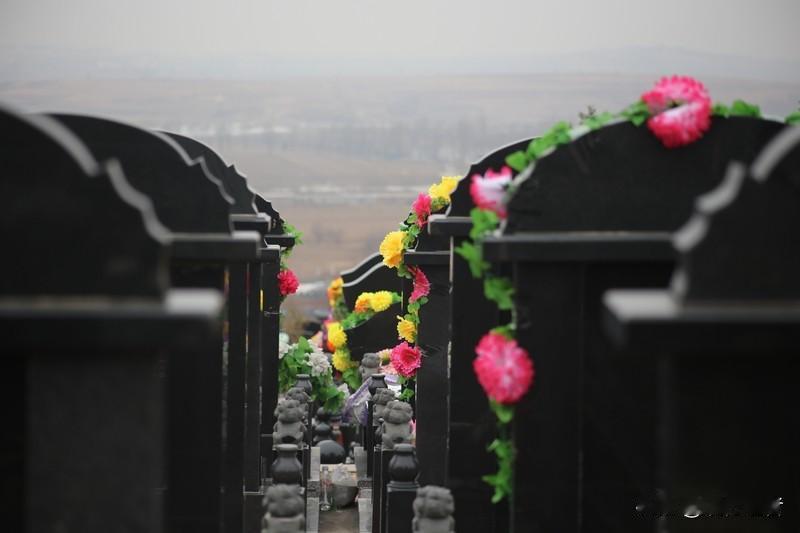 46岁独居女性离世后遗产处置问题引发热议，其遗产需经法院审批才能用于购买墓地一事