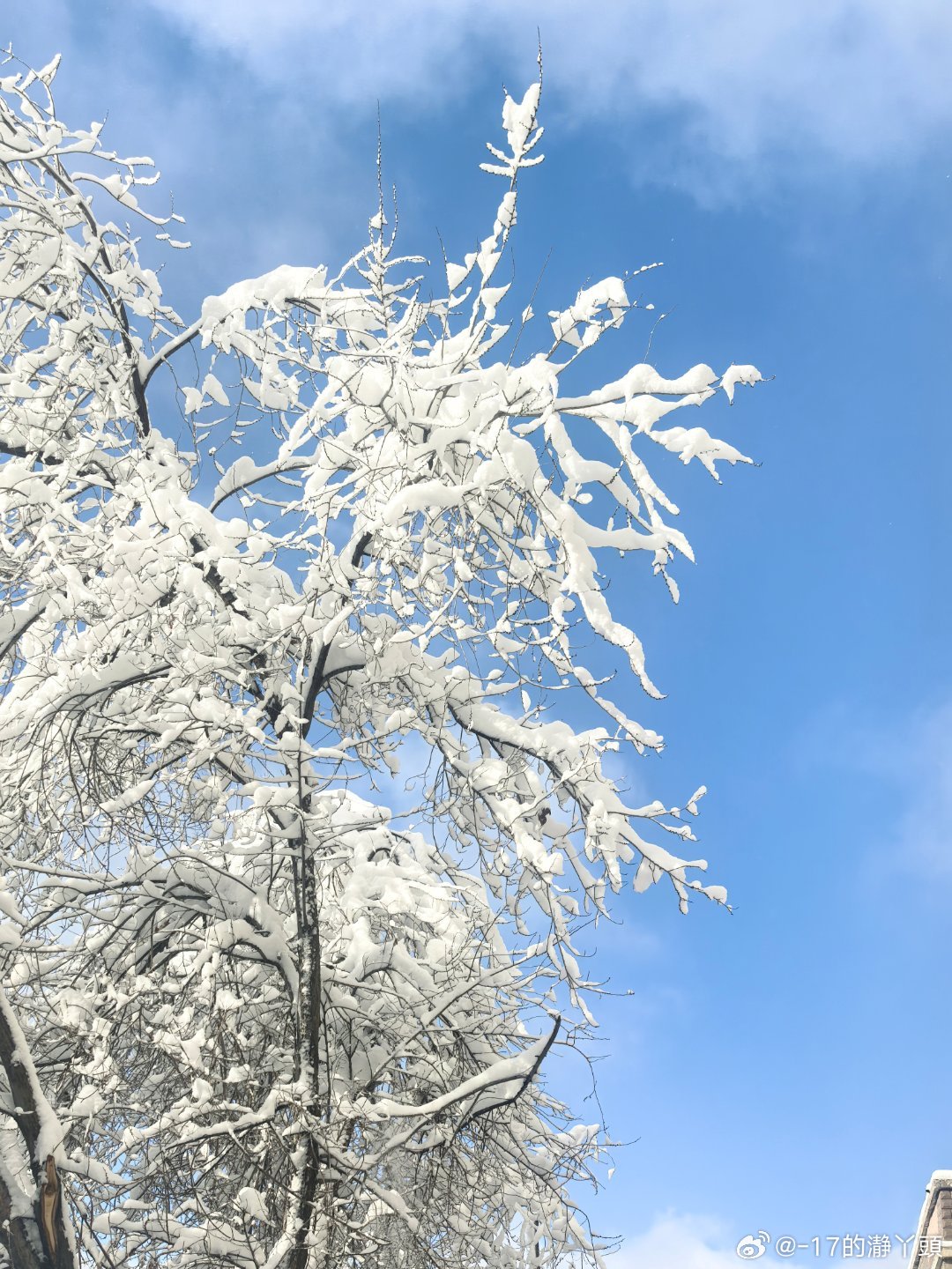 早安 𝗛𝗶 𝗟𝗶𝗳𝗲👋🏻.ᐟ.ᐟ小事要放过🧺         